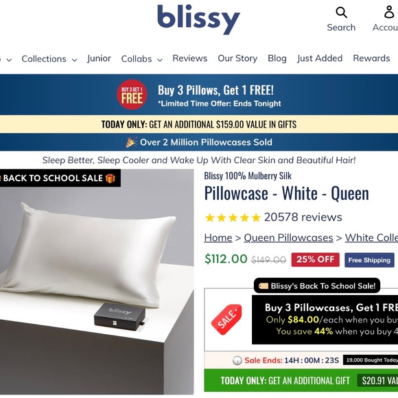 NIB BLISSY 100% Mulberry Silk Queen Pillowcase in White - Picture 6 of 6